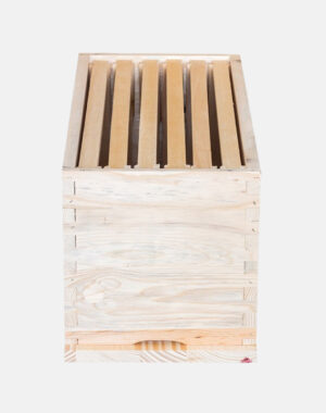 Nukleus 6 ramova
