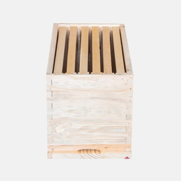Nukleus 6 ramova