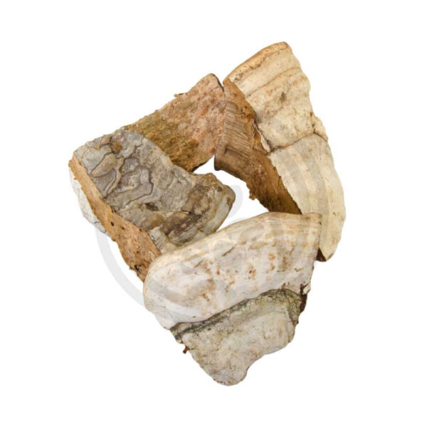 Pečurke, materijal za dimljenje, 1kg